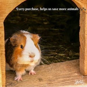 Every purchase, helps save more animals.
